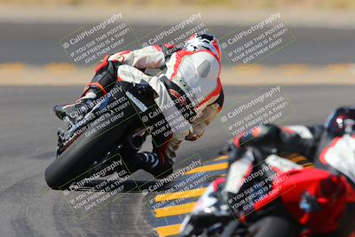 media/Oct-08-2022-SoCal Trackdays (Sat) [[1fc3beec89]]/Turn 11 Backside (1145am)/